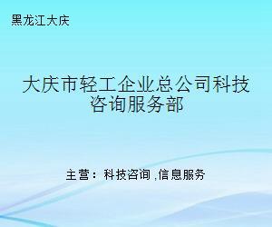 大庆市轻工企业总公司科技咨询服务部 科技中介服务的创新实践与发展路径